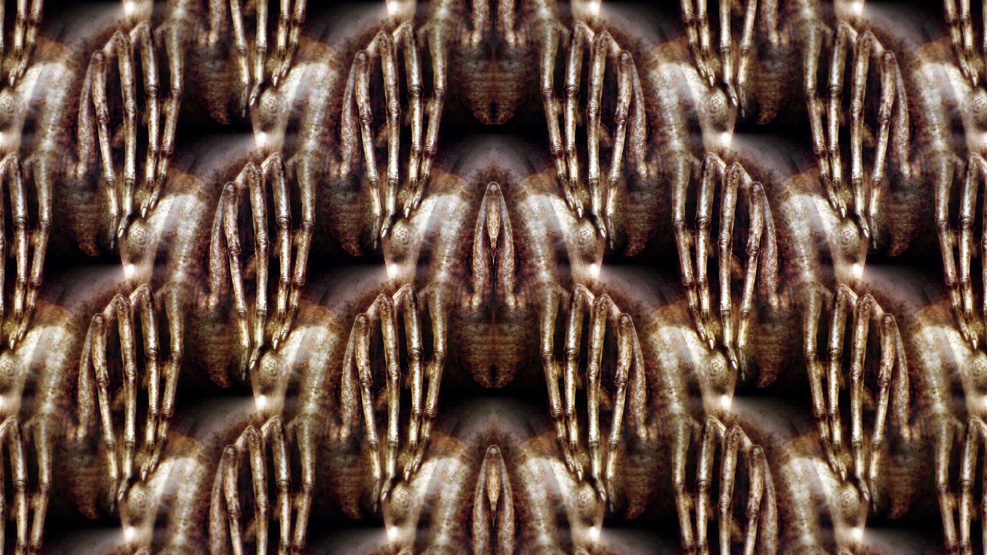 Hr Giger - HD Wallpaper 