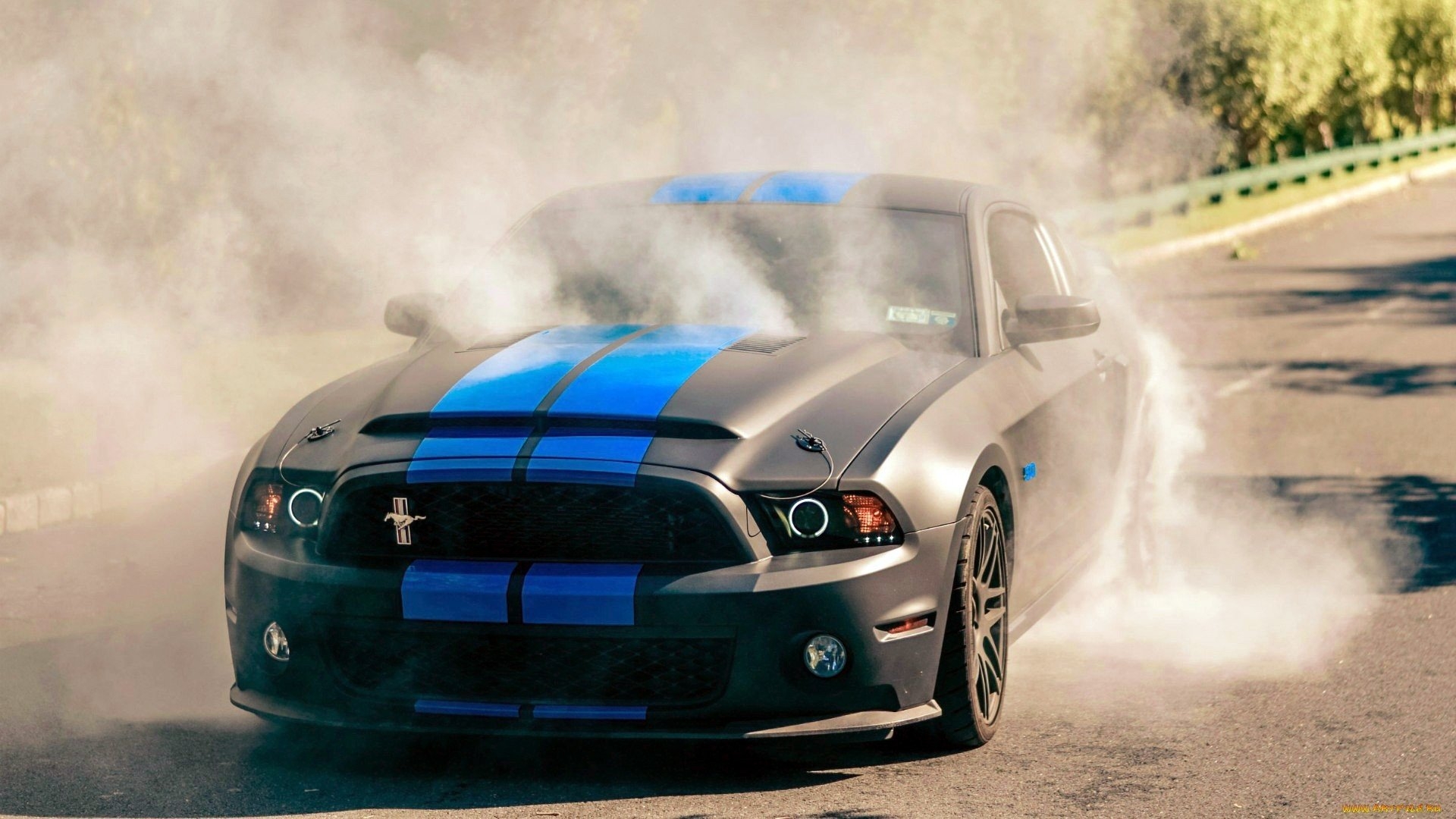 Ford Mustang Shelby Gt500, Burnout, Front View, Muscle, - Super Snake Mustang Burnout - HD Wallpaper 