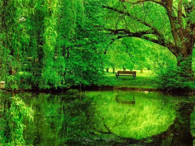 Thought On Our Environment - HD Wallpaper 