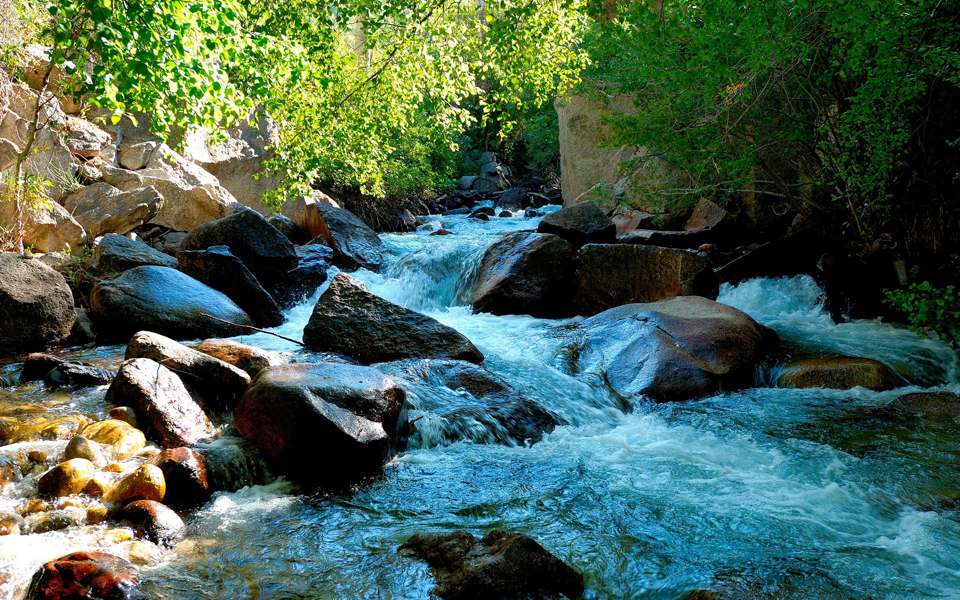 Nature Wallpaper Hd For Desktop Widescreen - HD Wallpaper 