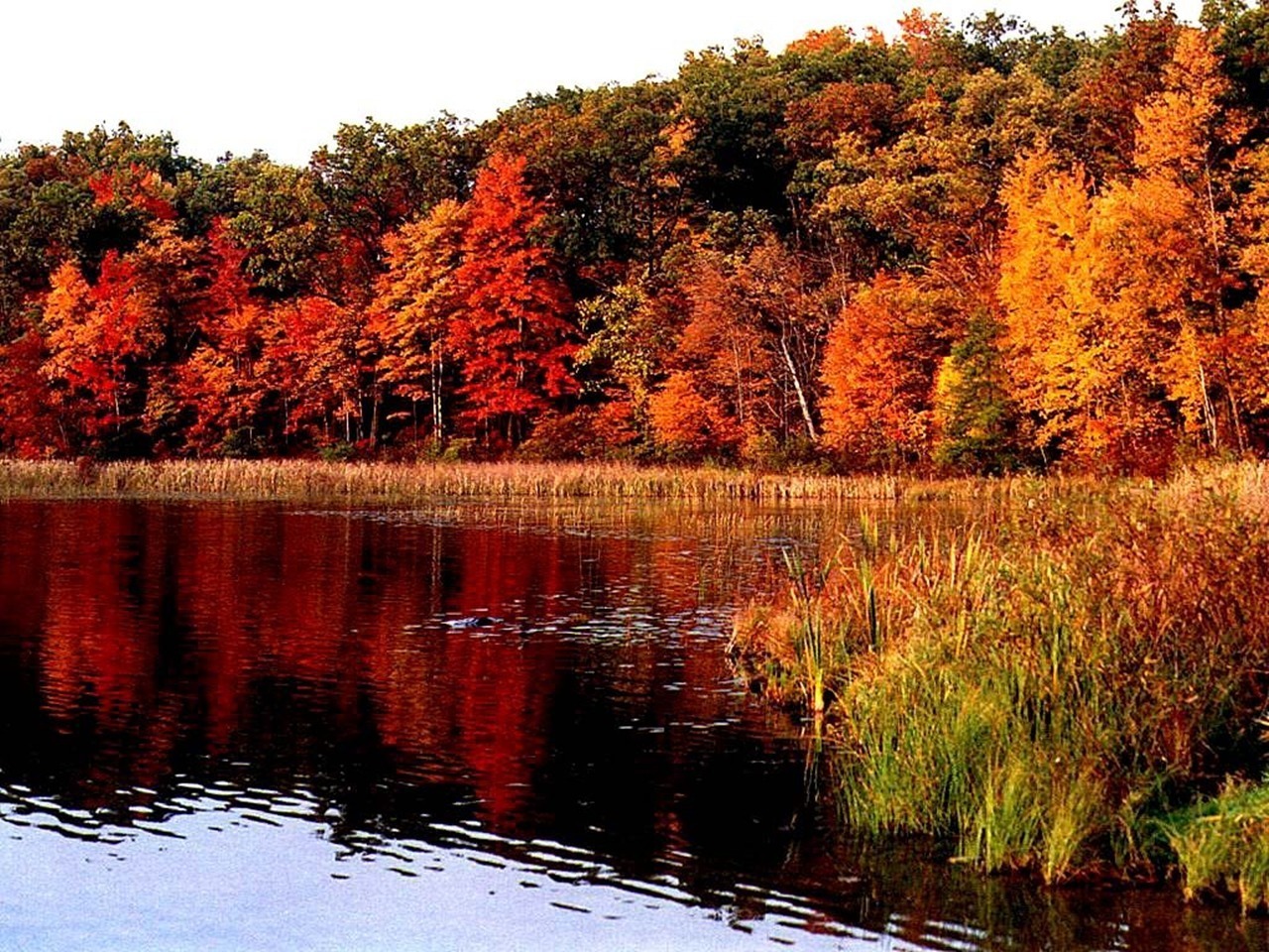 Amazing Nature Wallpapers - HD Wallpaper 