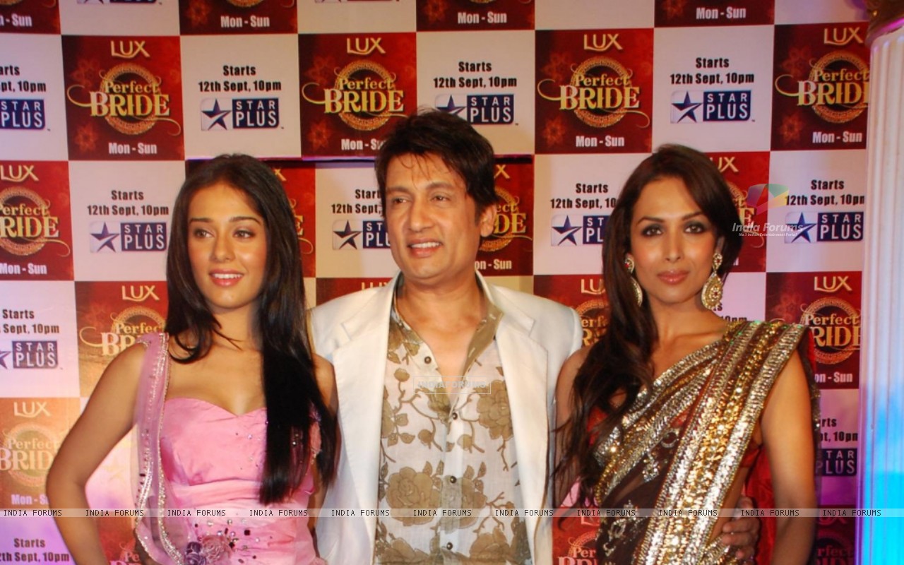 Perfect Bride - HD Wallpaper 