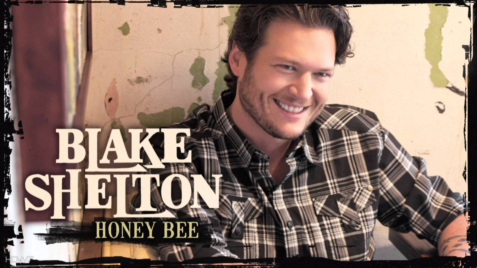 Blake Shelton Honey Bee Wallpaper - Honey Bee Blake Shelton - HD Wallpaper 