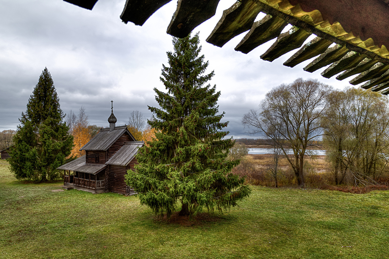 White Pine - HD Wallpaper 