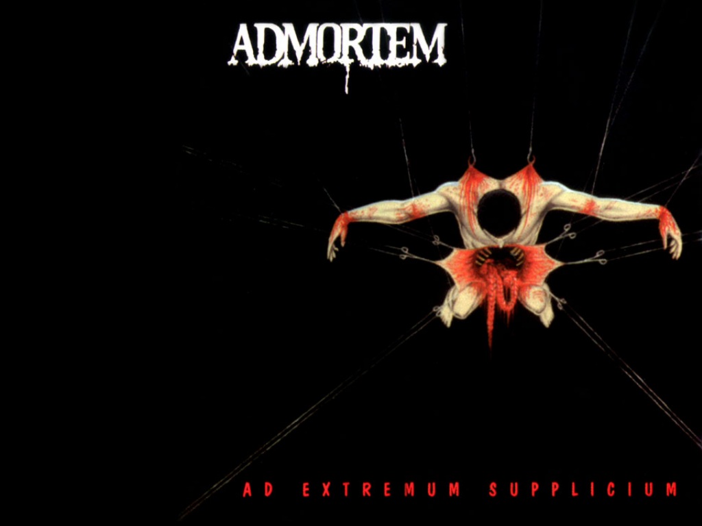 Spider Web - HD Wallpaper 