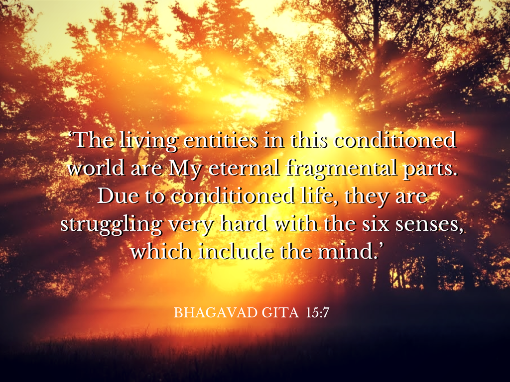 Bhagavad Gita Quotes Bhagavad Gita Filesize 134 93 - Life Bhagavad Gita Quotes In English - HD Wallpaper 