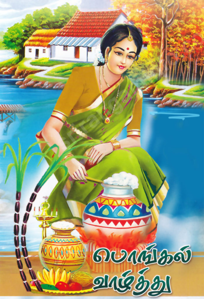 Pongal Greetings Tamil - Tamil Thai Pongal 2019 - HD Wallpaper 