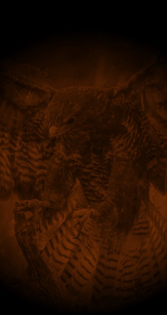 Darkness - HD Wallpaper 