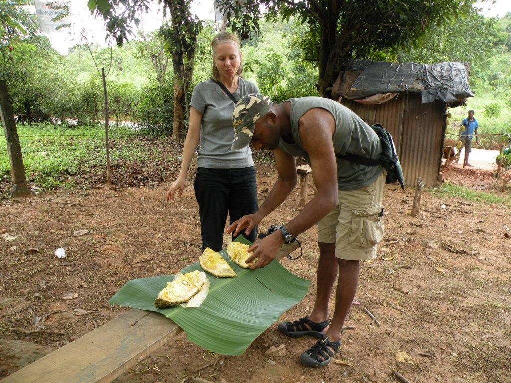 Pongal - HD Wallpaper 