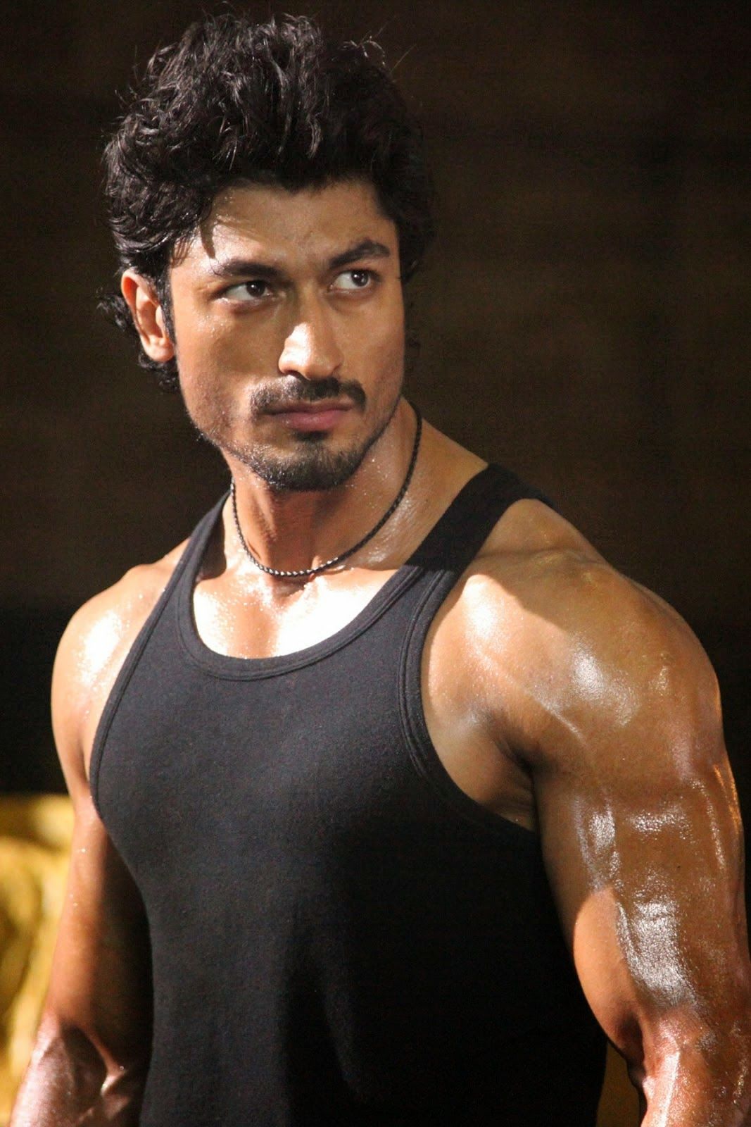 Tiger Shroff And Vidyut Jamwal - HD Wallpaper 