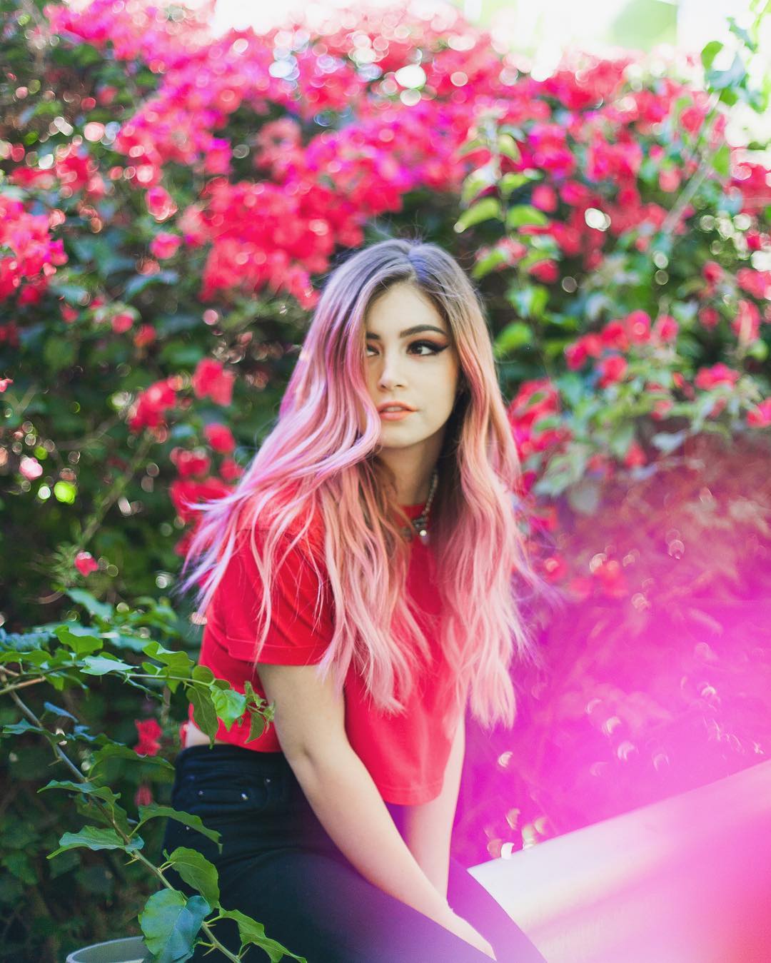 Chrissy Costanza Pink Hair - HD Wallpaper 