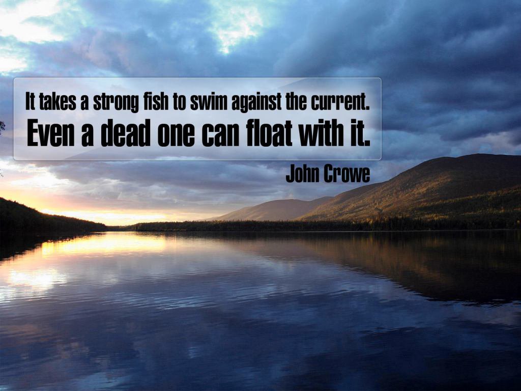 Nature - HD Wallpaper 