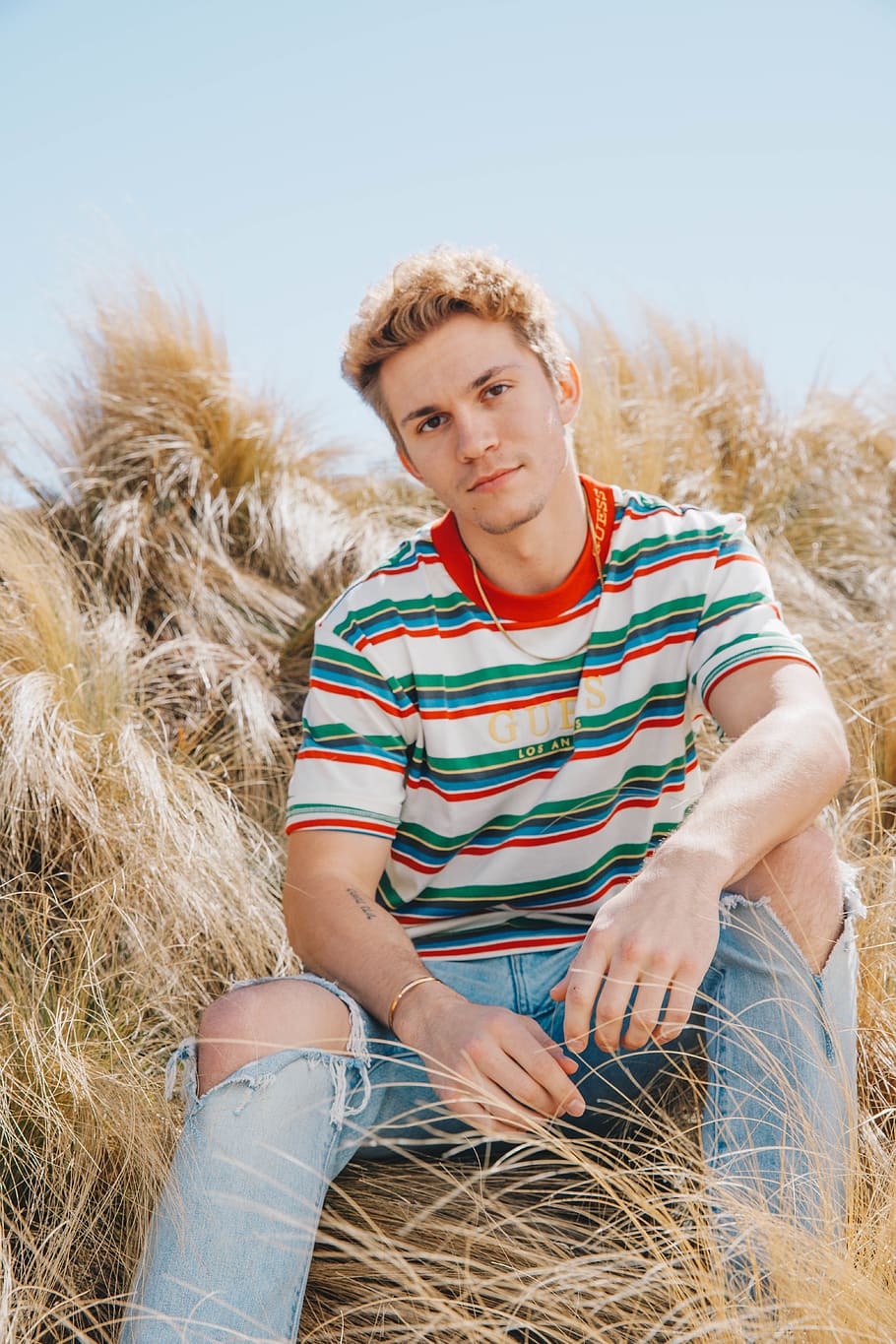 Man Wearing Striped Shirt Sitting On Brown Grasses, - HD Wallpaper 