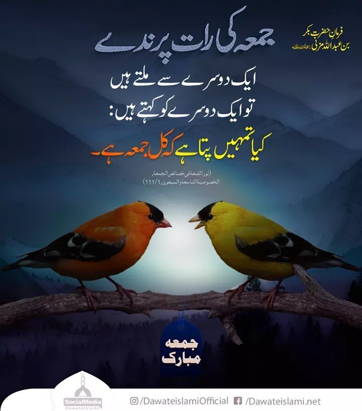Pin By Noshi On Jummah Mubarak - Jumma Mubarak Quotes In Urdu - HD Wallpaper 