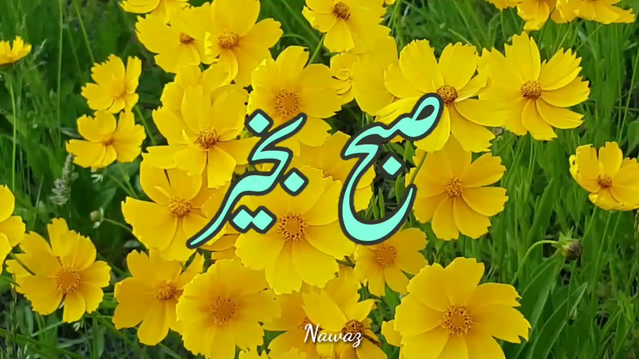 Subha Bakhair In Urdu Images With Dua - HD Wallpaper 