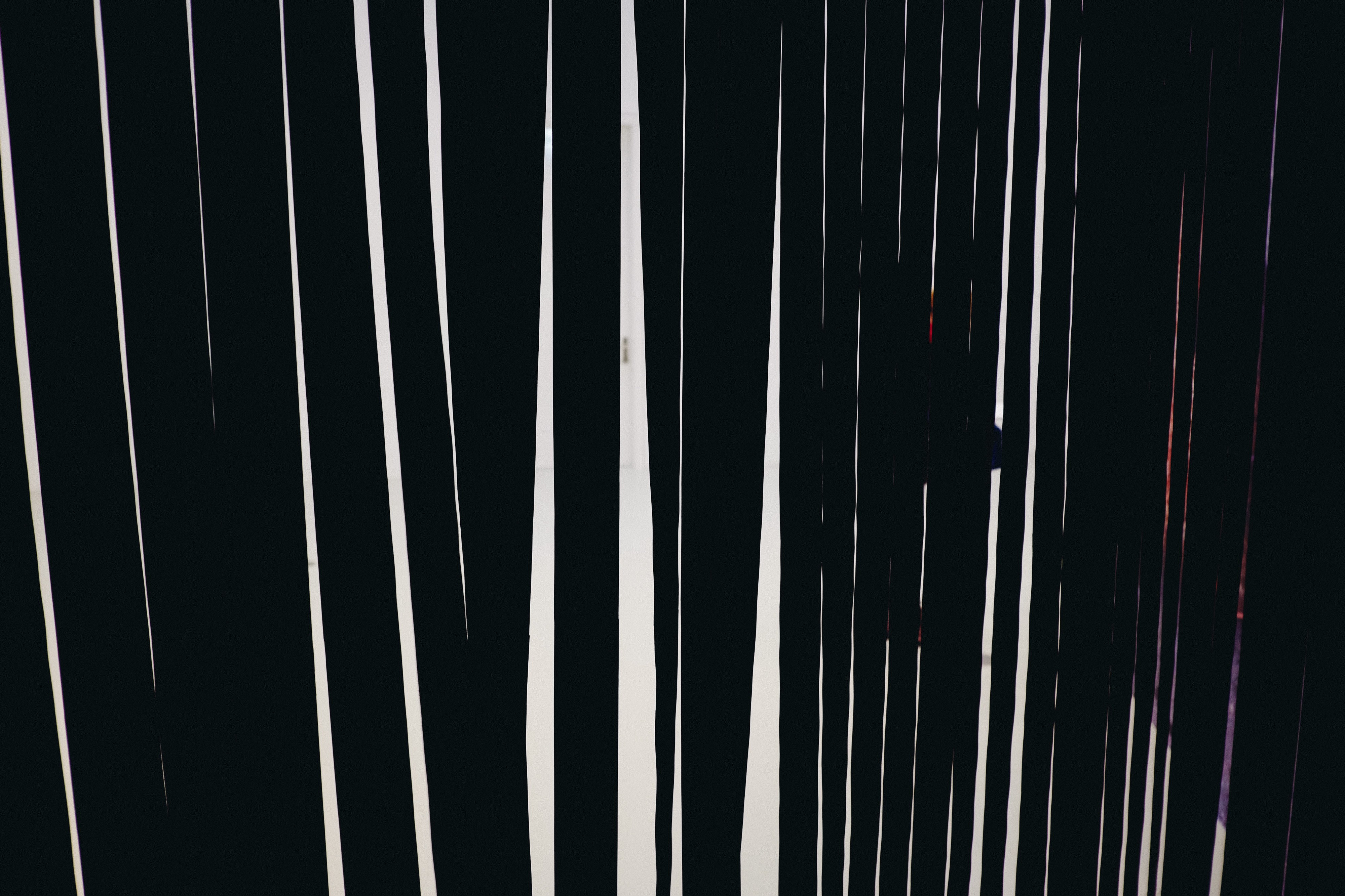 2016 02 11 Roman Drits Barnimages 003 Small - Darkness - HD Wallpaper 