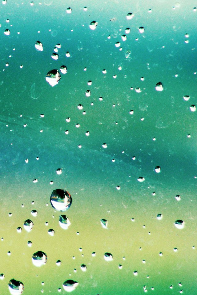 Rainy Day Green Water Nature Spring Window Iphone Wallpaper - HD Wallpaper 