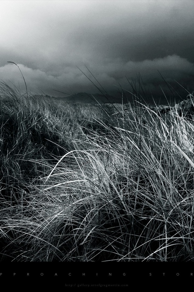 Grayscale Iphone - HD Wallpaper 