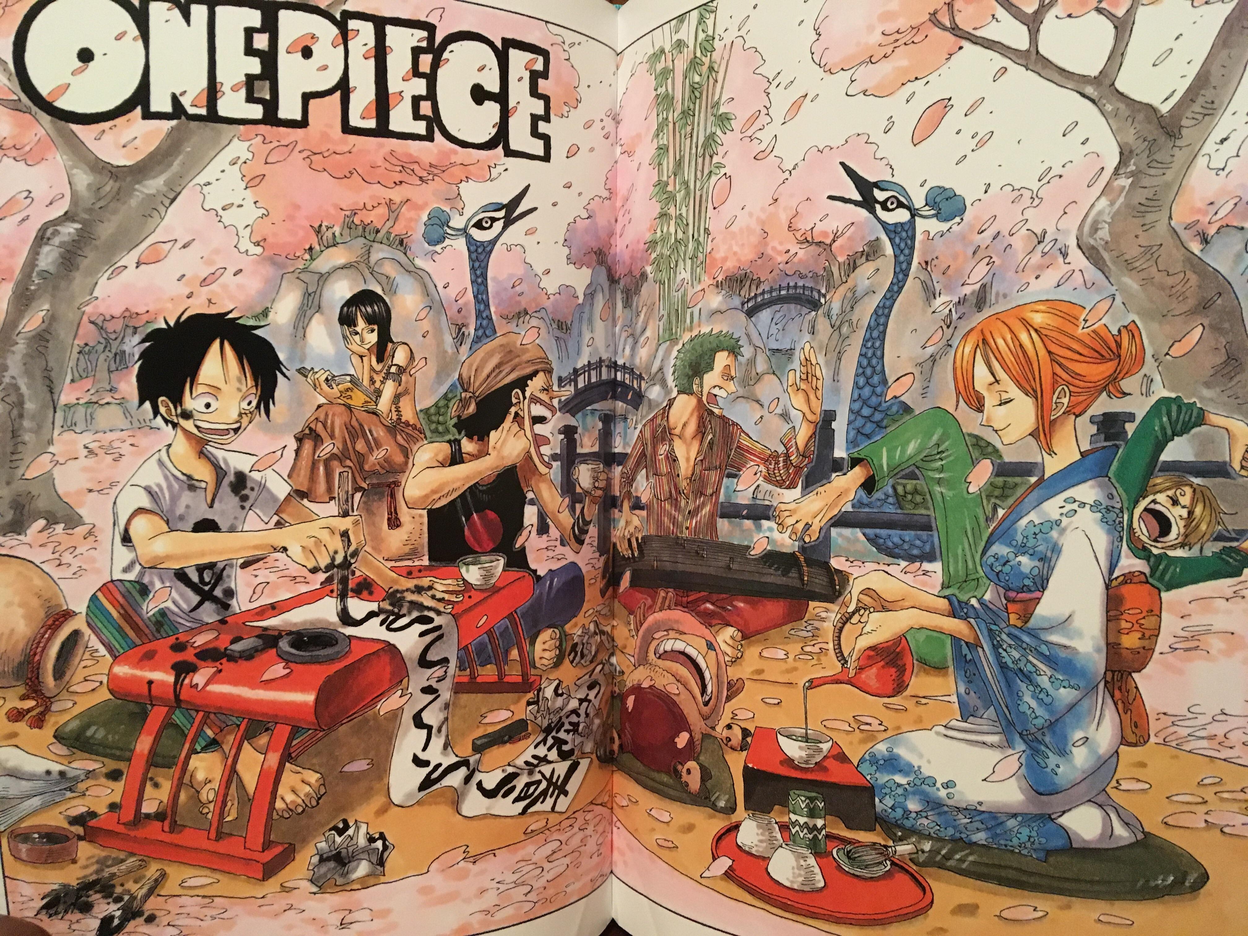 One Piece Color Walk Compendium 4032x3024 Wallpaper Teahub Io