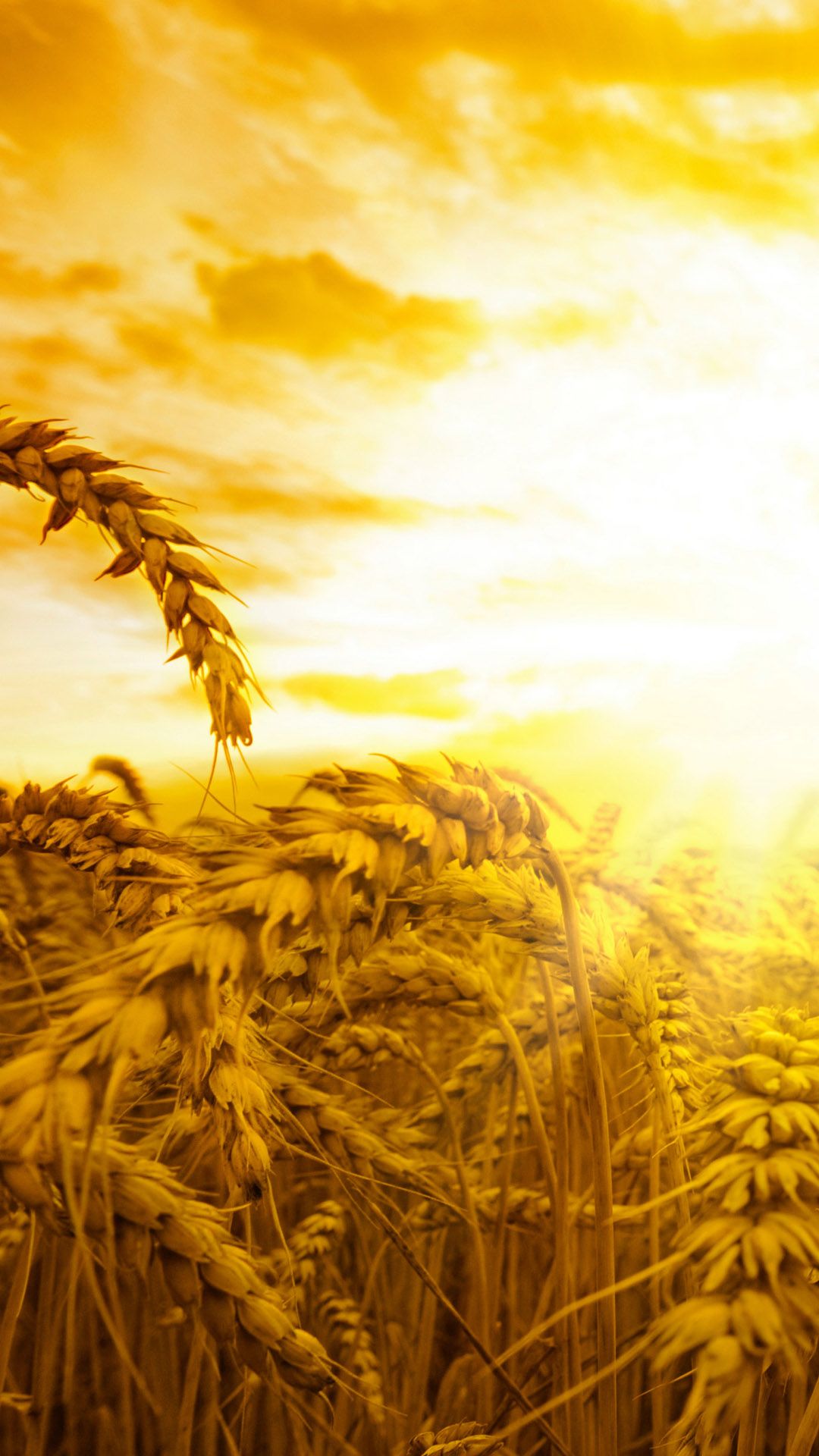 Abundance God - 1080x1920 Wallpaper Abundance God - 1080x1920 Wallpaper