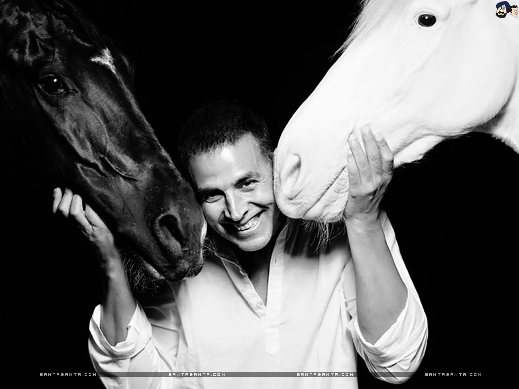 Akshay Kumar - Stallion - HD Wallpaper 