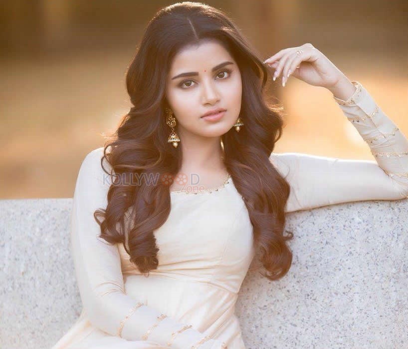 Cute Actress Anupama Parameswaran Photos - Anupama Parameswaran Photo Download - HD Wallpaper 
