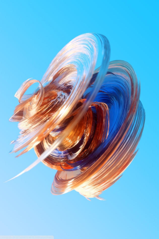 Macro Photography - HD Wallpaper 