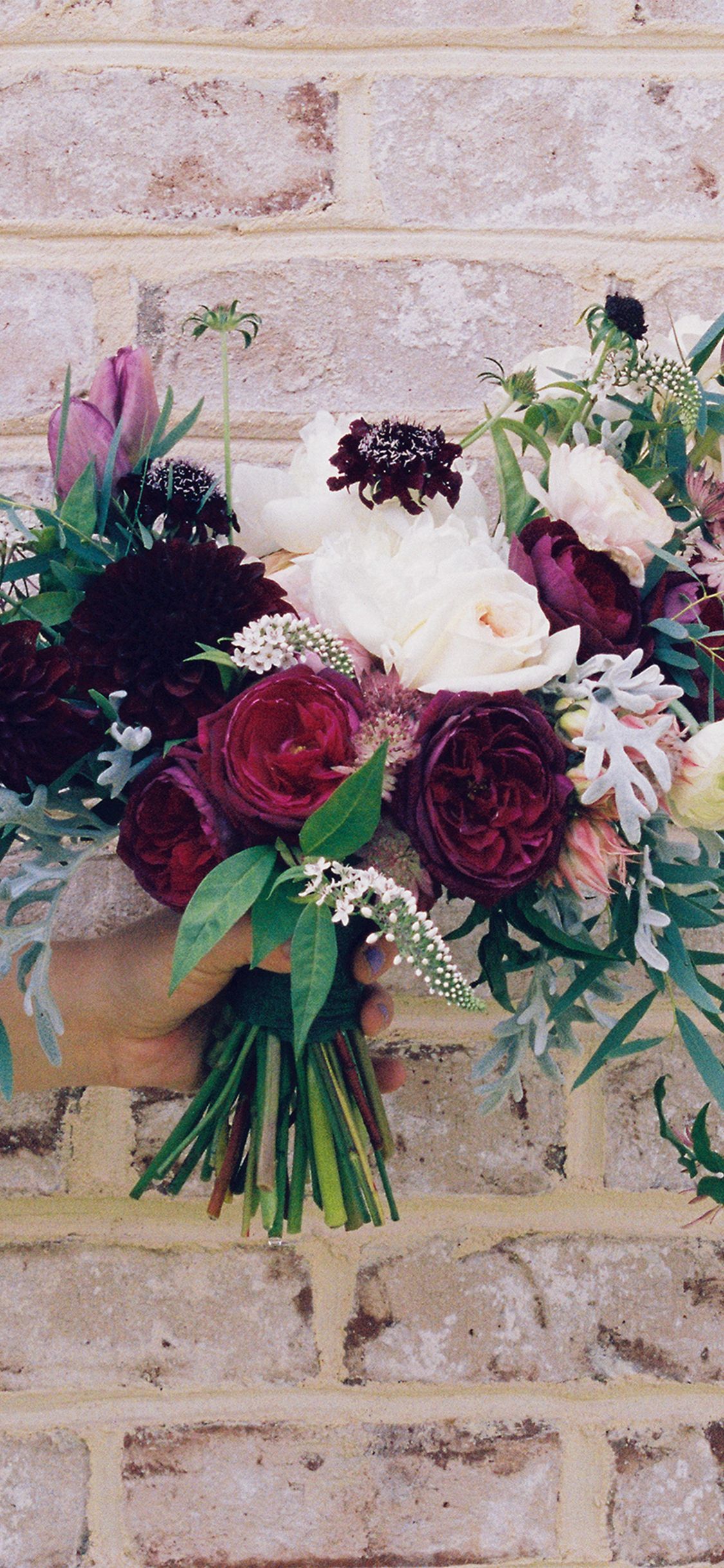 Spring Wallpapers Iphone Xr 1125x2436 Wallpaper teahub.io