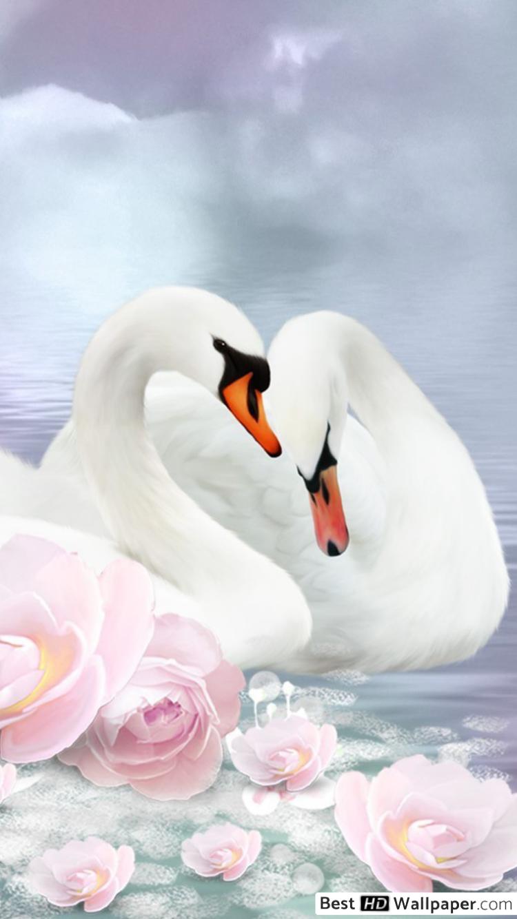 Painting Pink Swans - 750x1334 Wallpaper Painting Pink Swans - 750x1334 Wallpaper