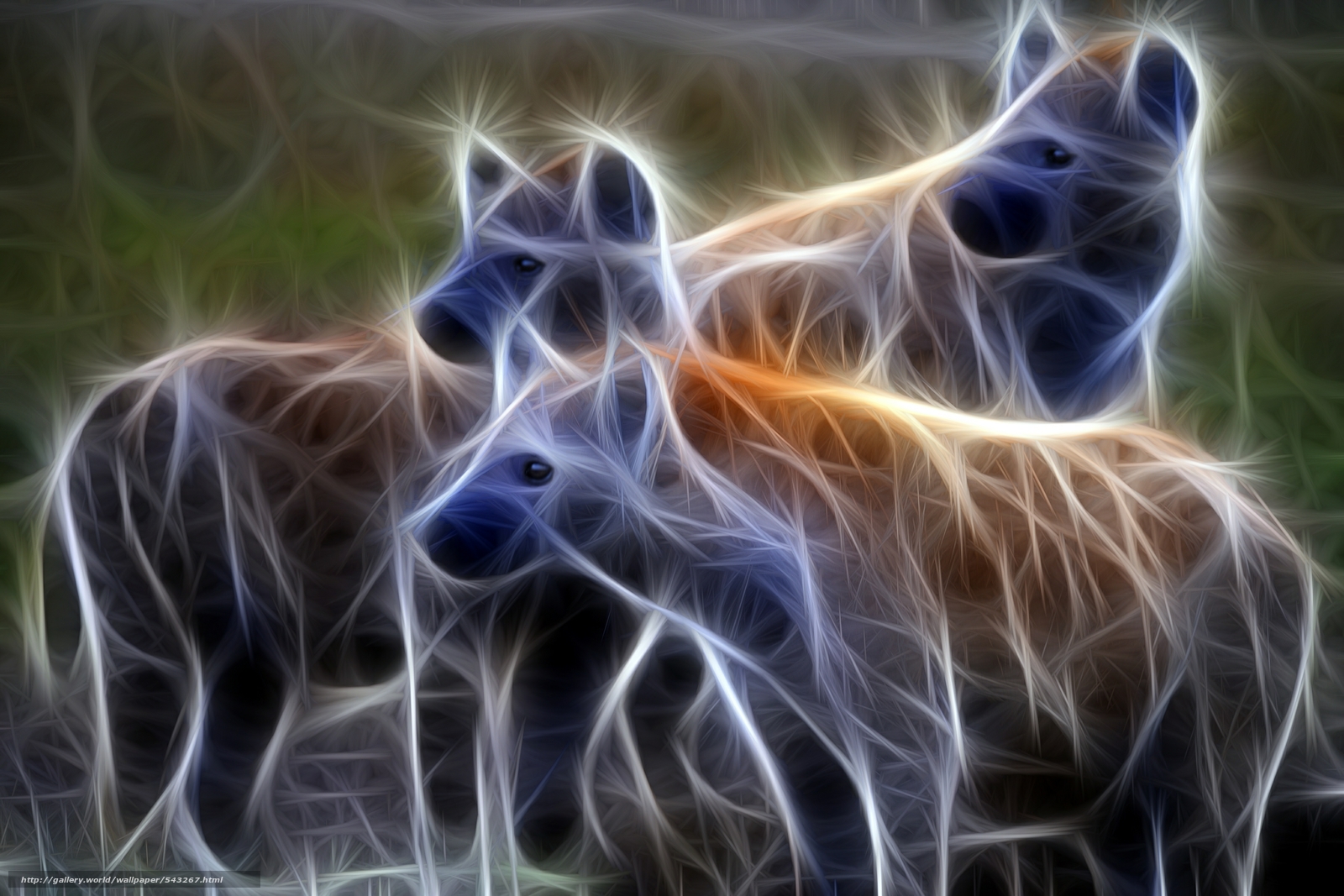 Download Wallpaper Abstraction, Hyena, 3d Free Desktop - 3d Hyena - HD Wallpaper 