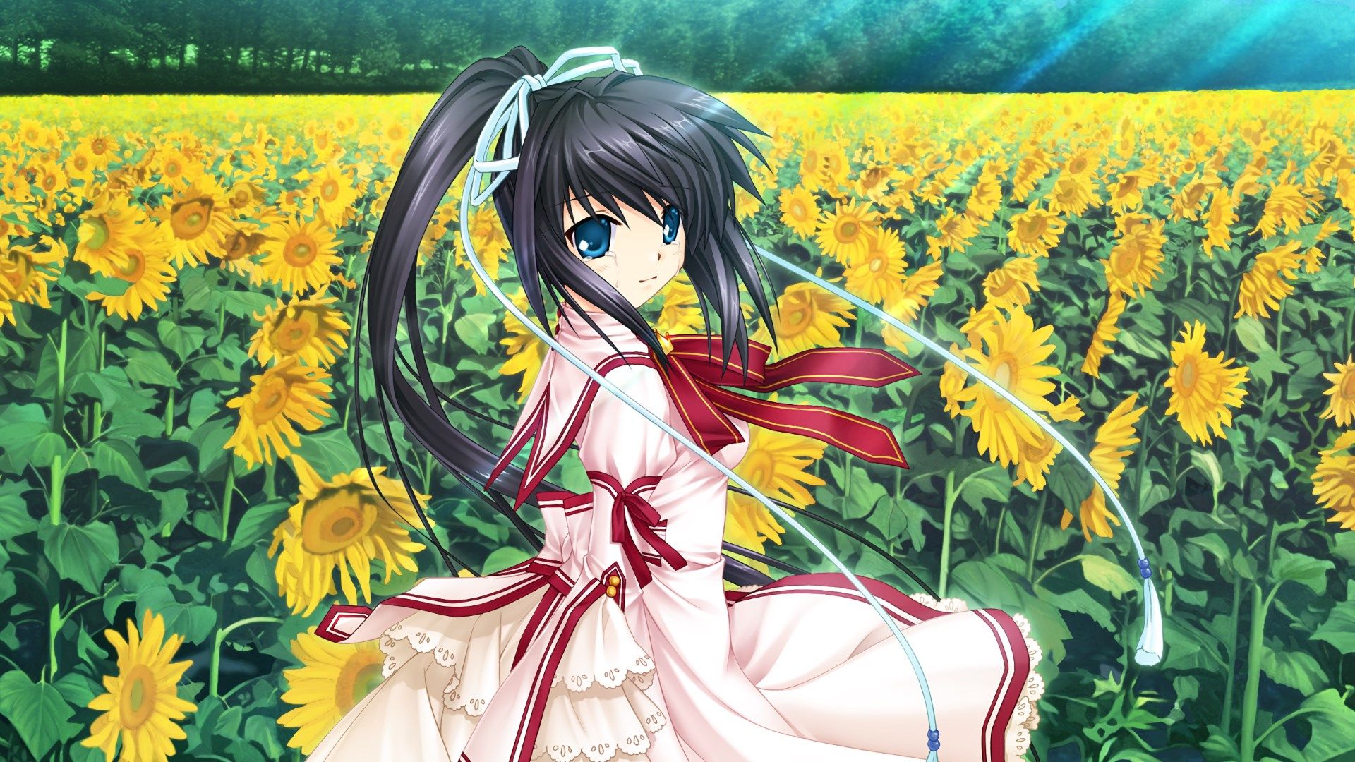 Lucia Rewrite - HD Wallpaper 