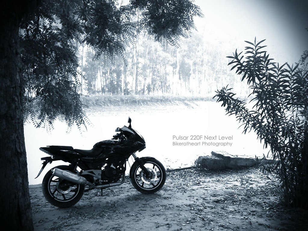 Shoot Of Pulsar 220 - HD Wallpaper 