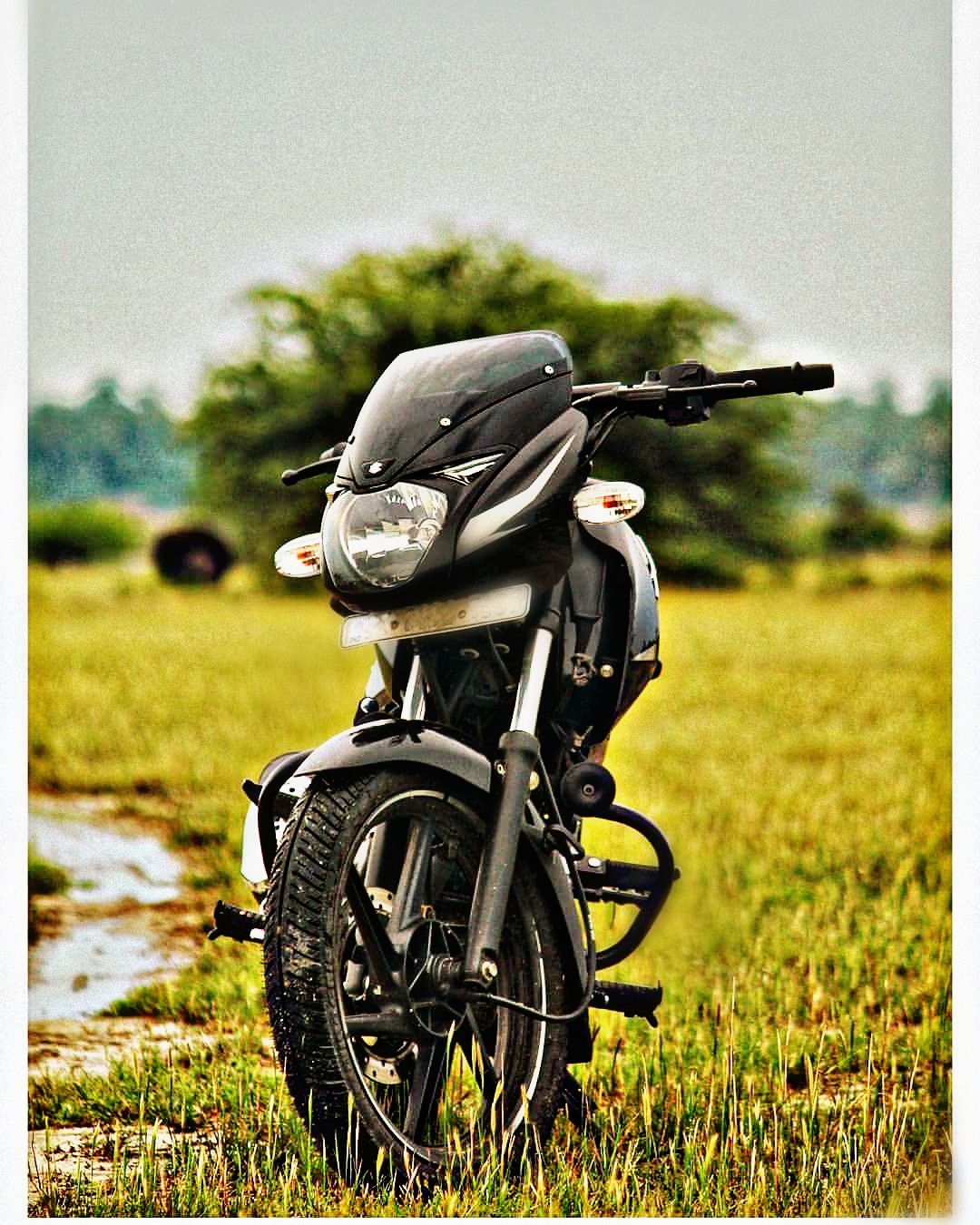 Full Hd Pulsar 150 - 1080x1350 Wallpaper Full Hd Pulsar 150 - 1080x1350 Wallpaper