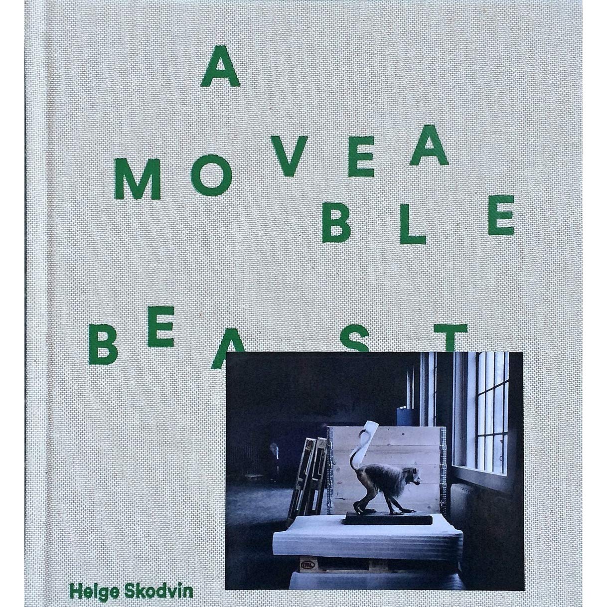 Helge Skodvin - HD Wallpaper 