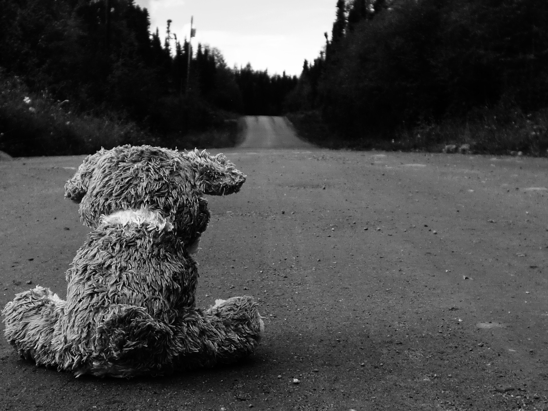 Road Sad Teddy Bears Wallpaper - I M Sad Without You - HD Wallpaper 