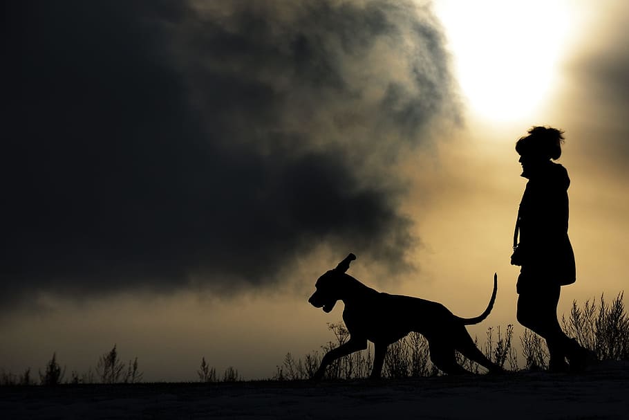 Dog And Person Walking Silhouette, Man And Dog, Great - Silhouette Dog And Human - HD Wallpaper 