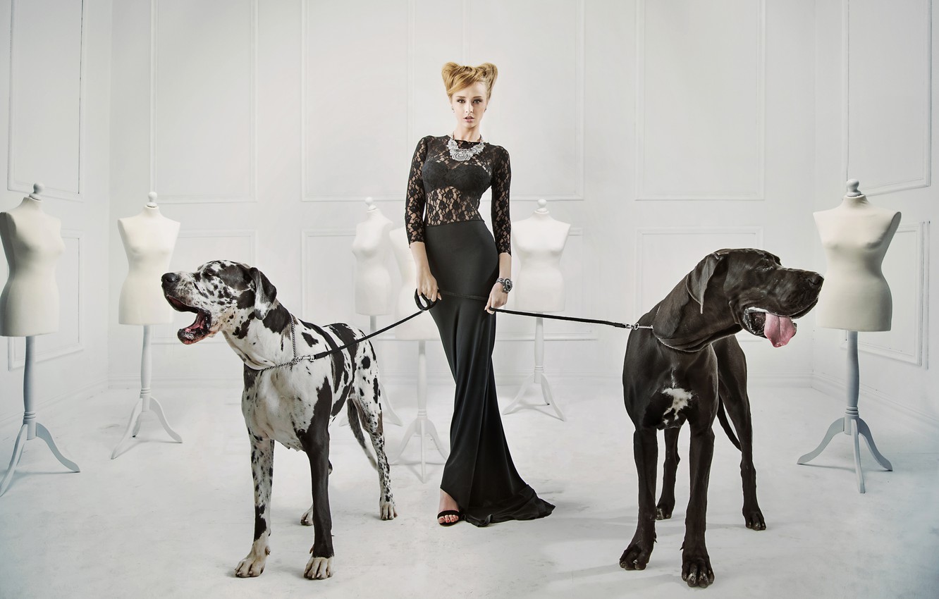 Photo Wallpaper Dogs, Girl, Decoration, Pose, Necklace, - Woman With Great Dane - HD Wallpaper 