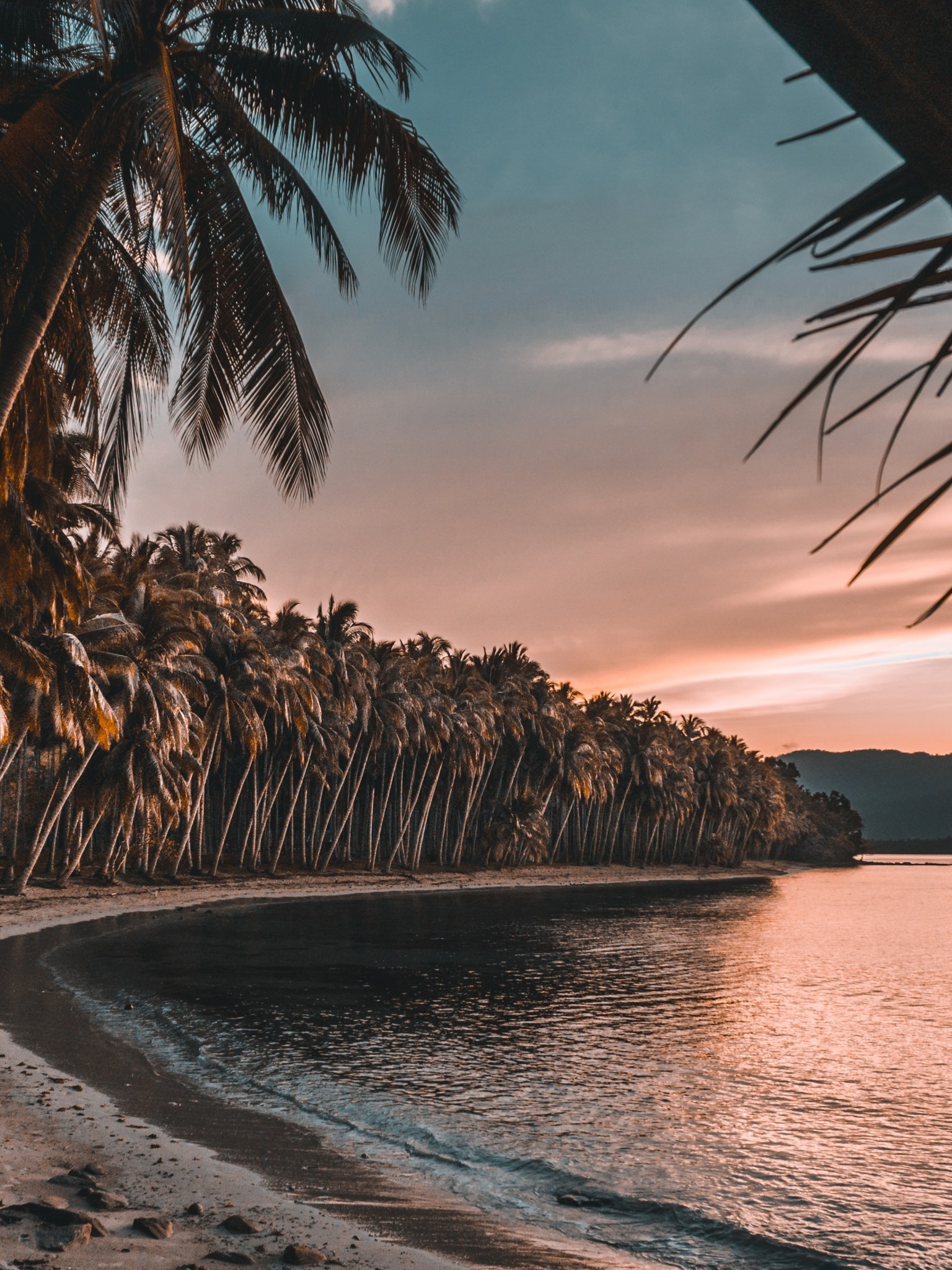 Palm Trees, Holiday, Island, Beach, Sunset - Palm Trees Wallpaper Beach Sunset - HD Wallpaper 