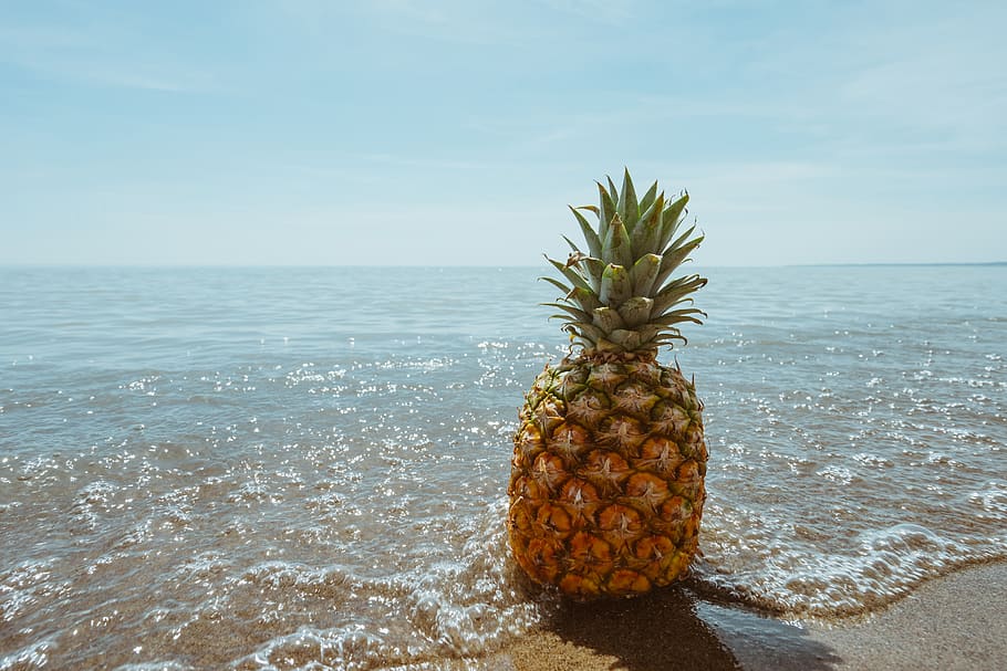 Pine Apple On Beach, Fruit, Horizon, Ocean, Pineapple, - Pineapple On Beach - HD Wallpaper 