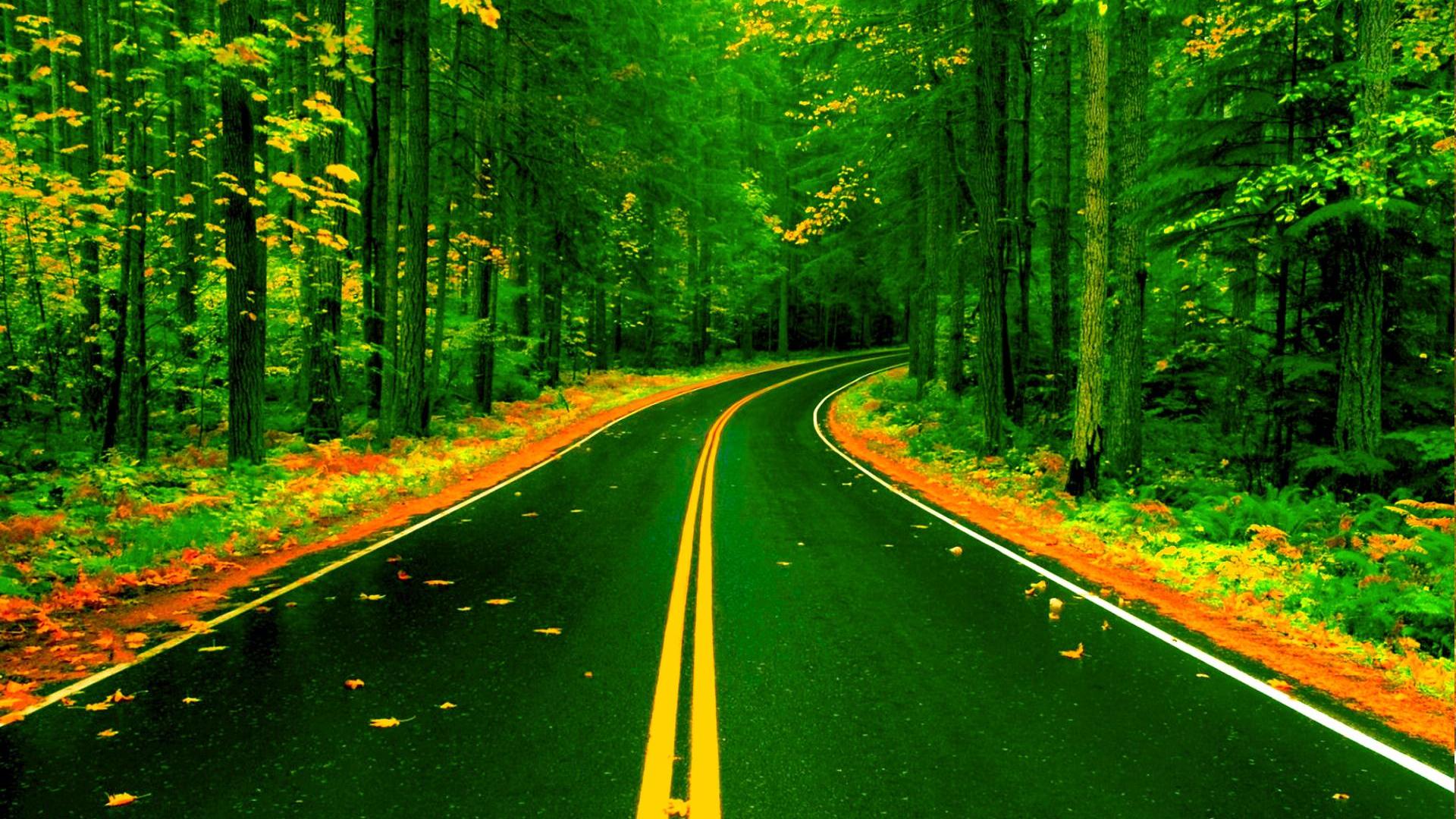 Nature Back Ground Hd Road - HD Wallpaper 