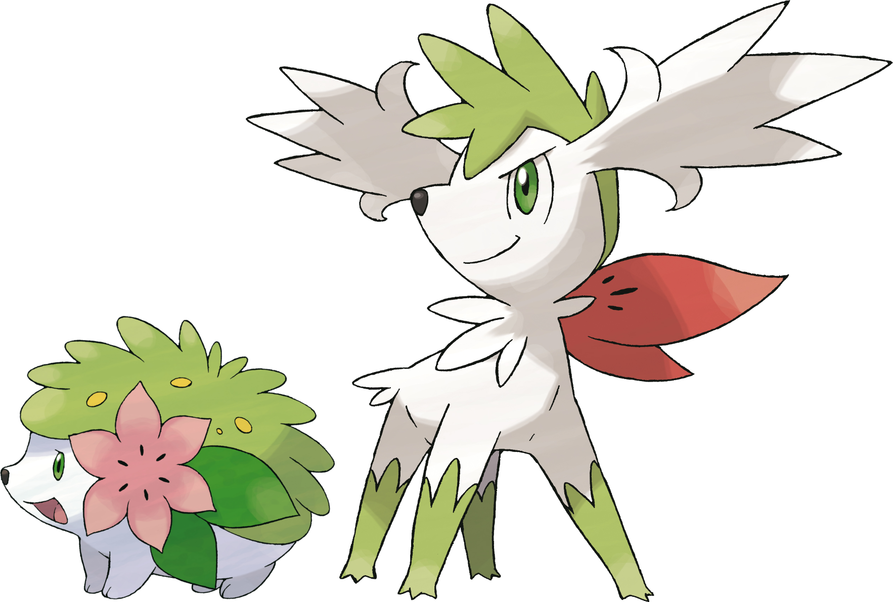 Thumb Image - Small Grass Legendary Pokemon - HD Wallpaper 