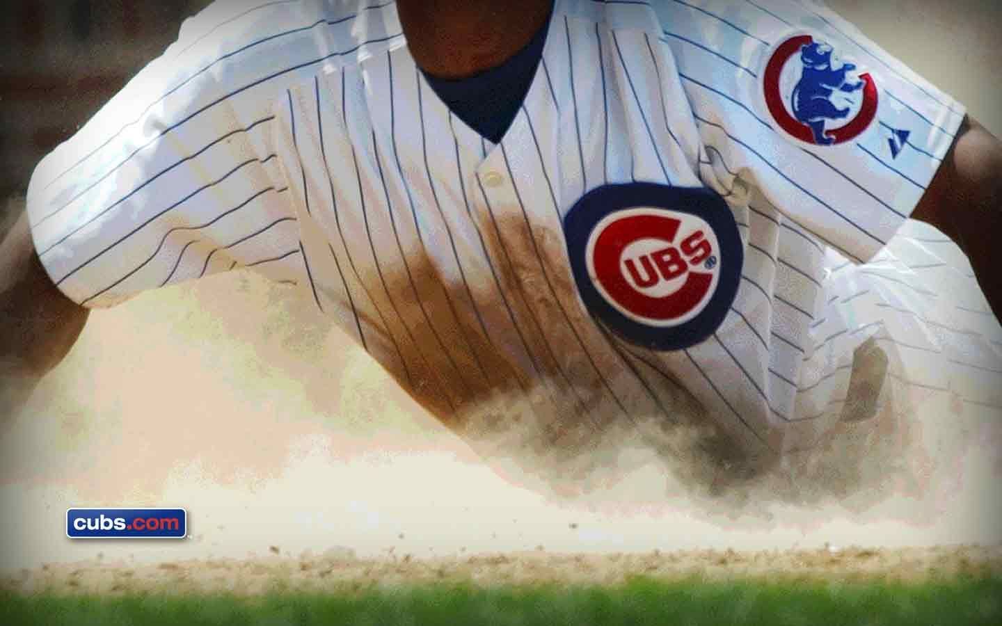 Cubs - HD Wallpaper 