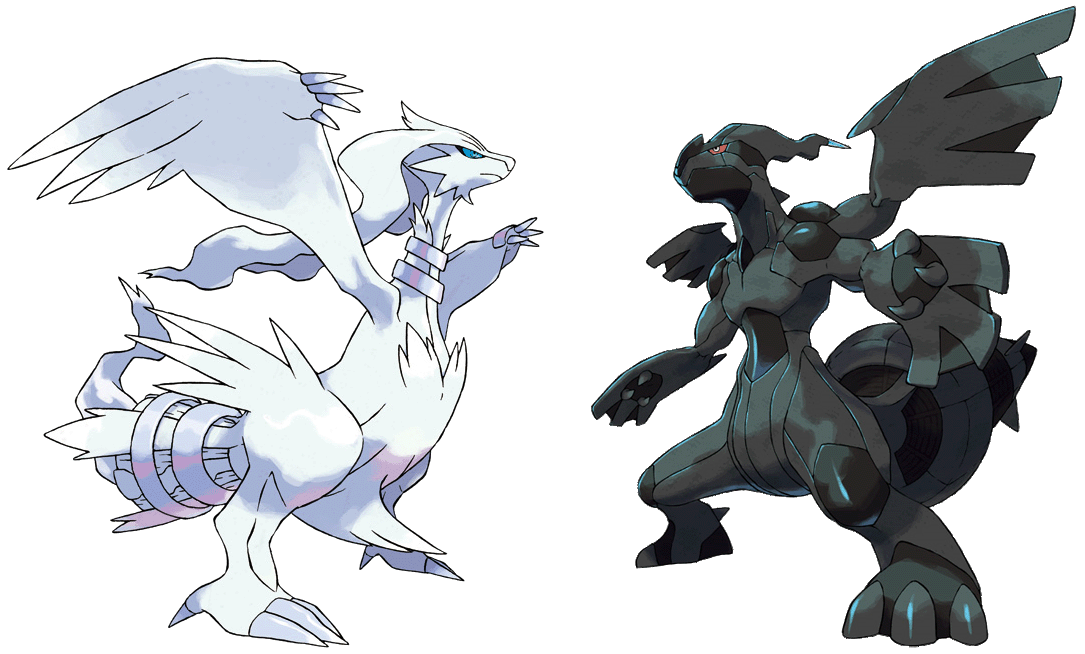 White Dragon Pokemon White Dragon Pokemon