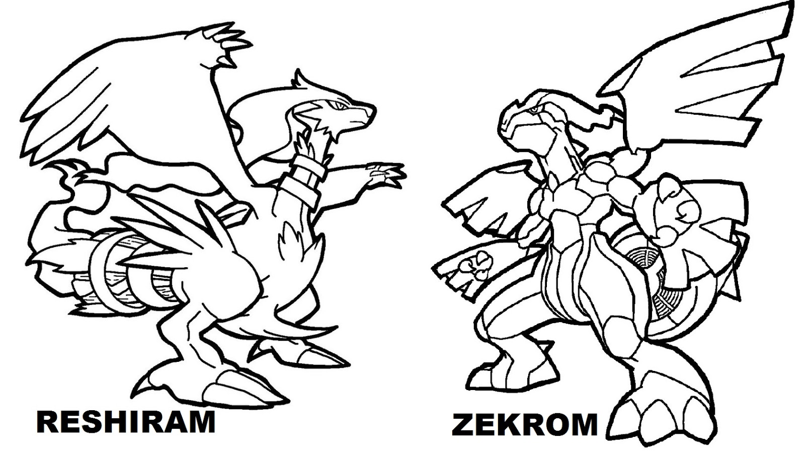 Zekrom Pokemon Coloring Page - HD Wallpaper 