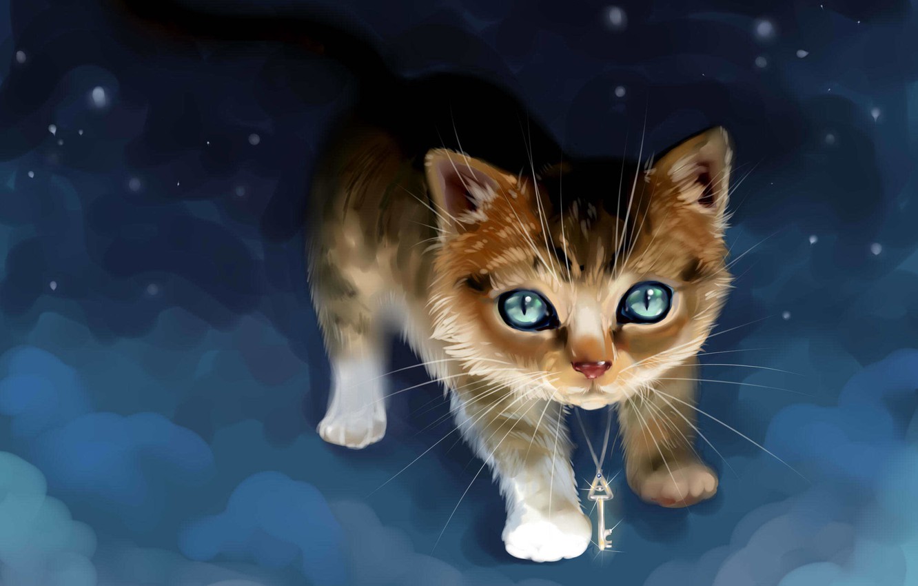 Photo Wallpaper The Sky, Night, Kitty, Key, Ippo-lita - Wallpaper - HD Wallpaper 