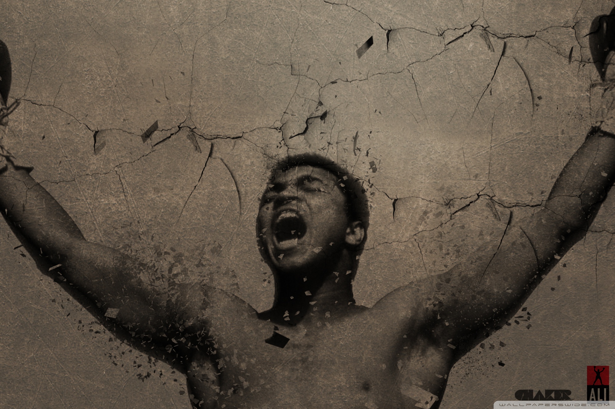 Muhammad Ali Tablespoon Quote - HD Wallpaper 