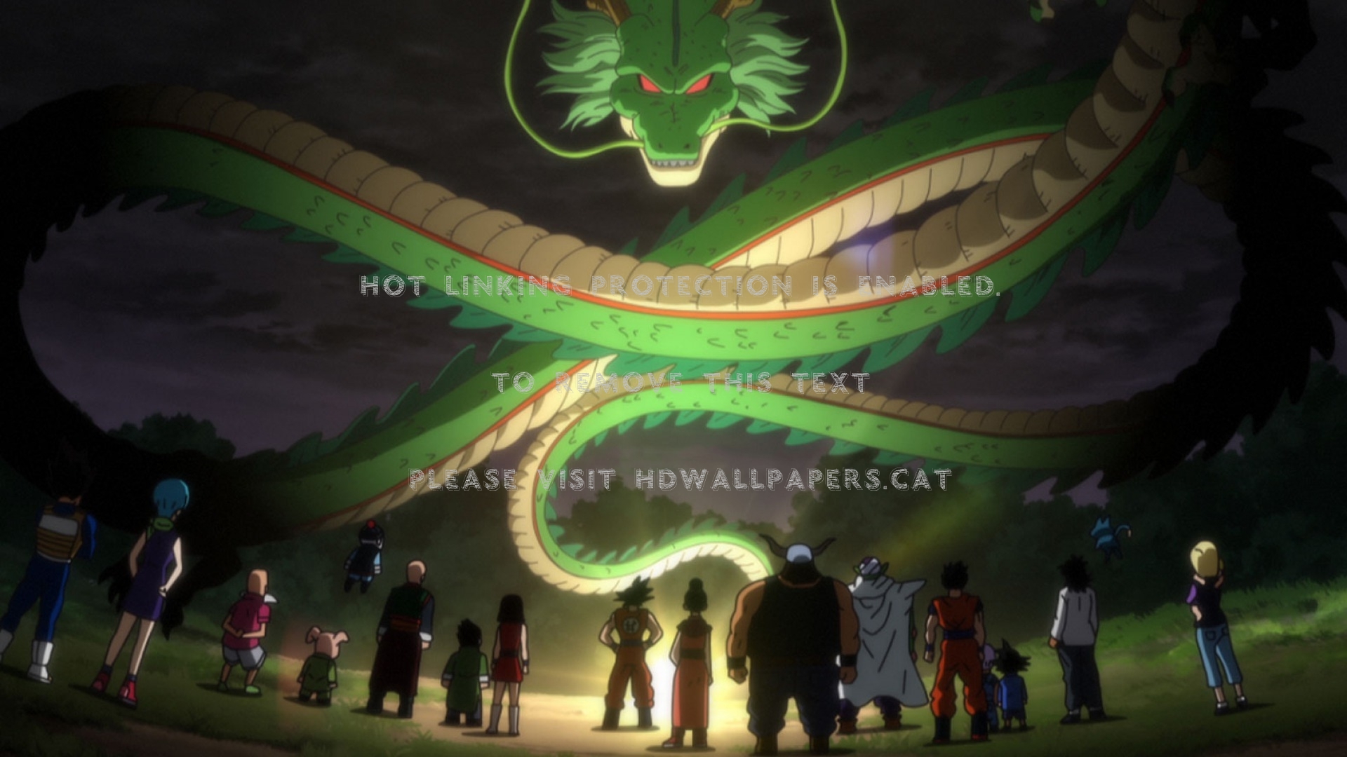 What Your Wish Chichi Tien Shinhan Piccolo - Dragon Ball Z Image Destruction God - HD Wallpaper 