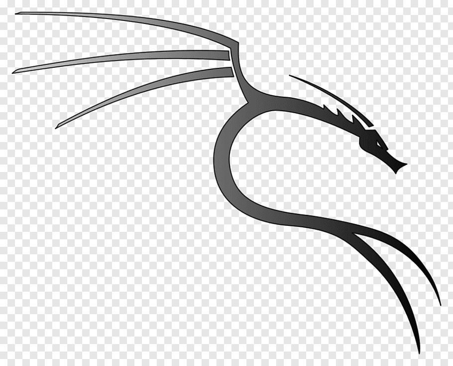 Gray Dragon, Kali Linux Backtrack Penetration Test - Png Kali Linux Logo -  910x734 Wallpaper 
