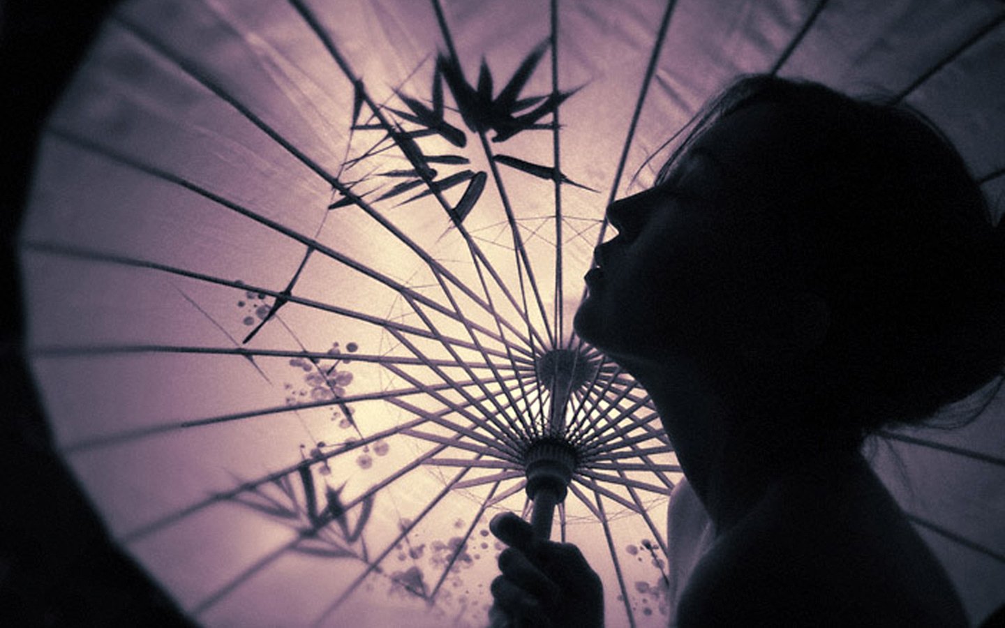 Japanese Umbrella - 1440x900 Wallpaper - teahub.io