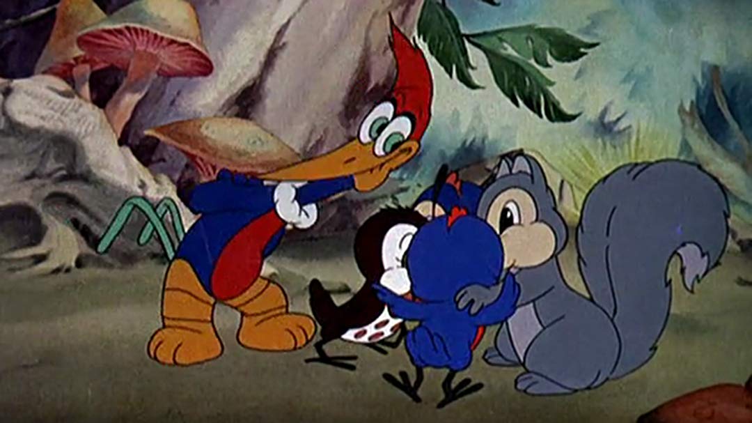 Classic Woody Woodpecker 1080x607 Wallpaper Teahub Io